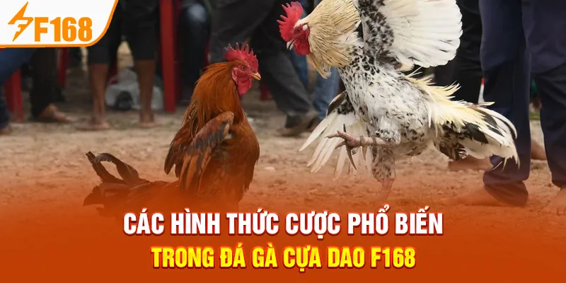 Các Hình Thức Cược Phổ Biến Trong Đá Gà Cựa Dao F168